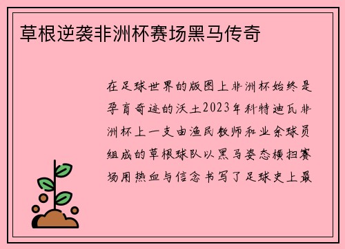 草根逆袭非洲杯赛场黑马传奇