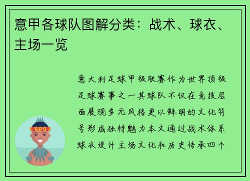 意甲各球队图解分类：战术、球衣、主场一览